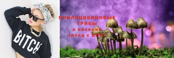 прущие крисы Нефтекумск
