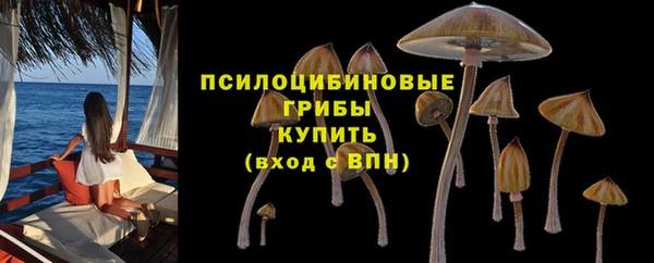 mdpv Нея
