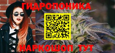 PSILOCYBIN Обнинск