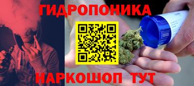 PSILOCYBIN Обнинск