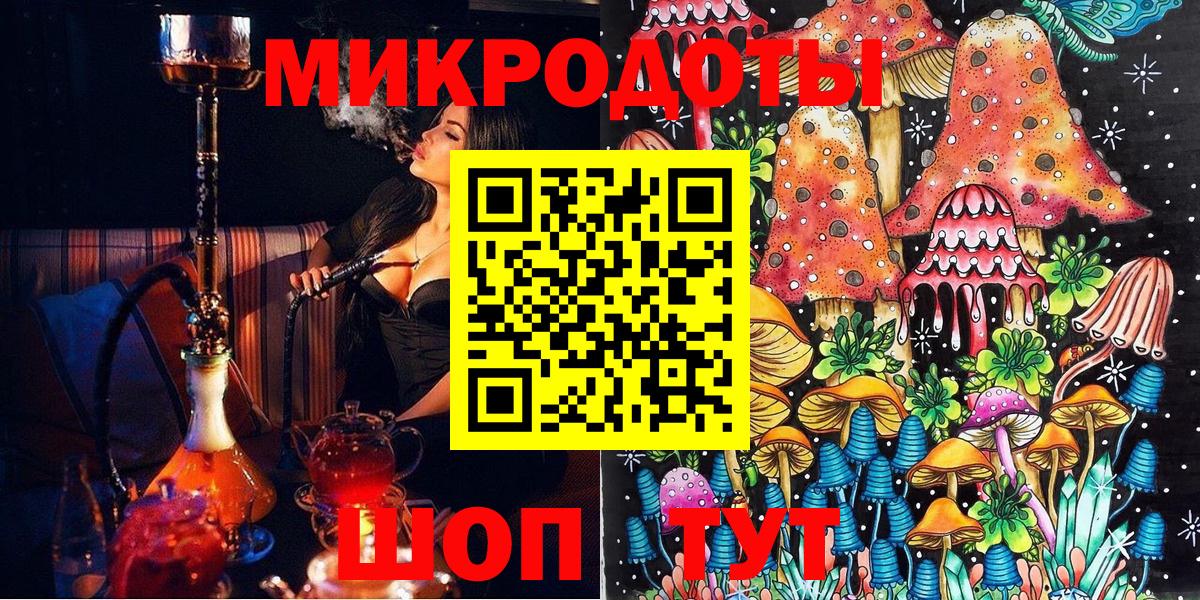 Псилоцибиновые грибы Psilocybe Фурманов