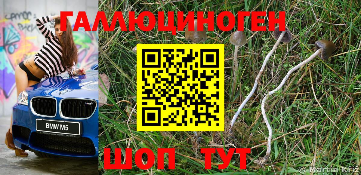 Фурманов  Галлюциногенные грибы Psilocybe  Вход с VPN  Галлюциногенные грибы Cubensis 